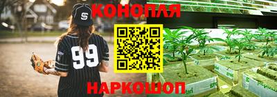 2c-b Гусев
